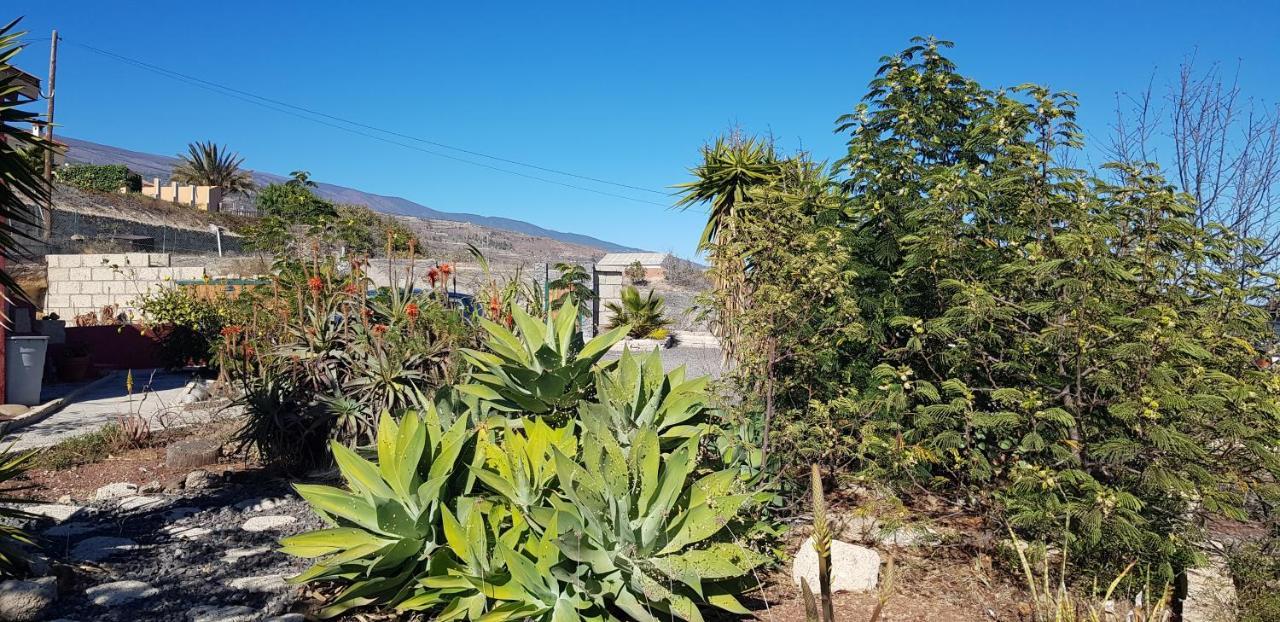 Alojamiento Unico Y Tranquilo Arico Con Fibra Optica Buitenkant foto