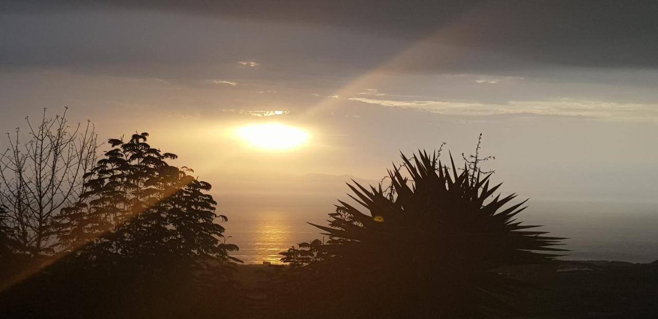 Alojamiento Unico Y Tranquilo Arico Con Fibra Optica Buitenkant foto